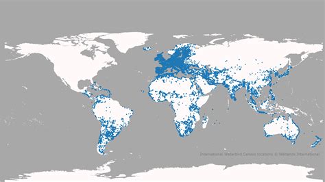 iwc netherlands locations.